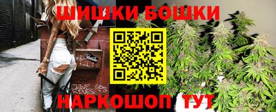 сатива Новодвинск