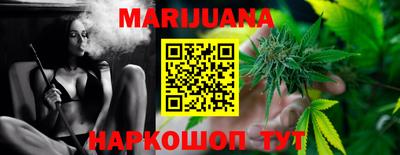 индика Новозыбков