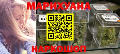 индика Новозыбков